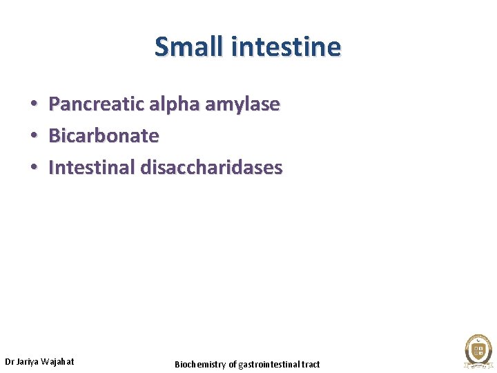 Small intestine • • • Pancreatic alpha amylase Bicarbonate Intestinal disaccharidases Dr Jariya Wajahat