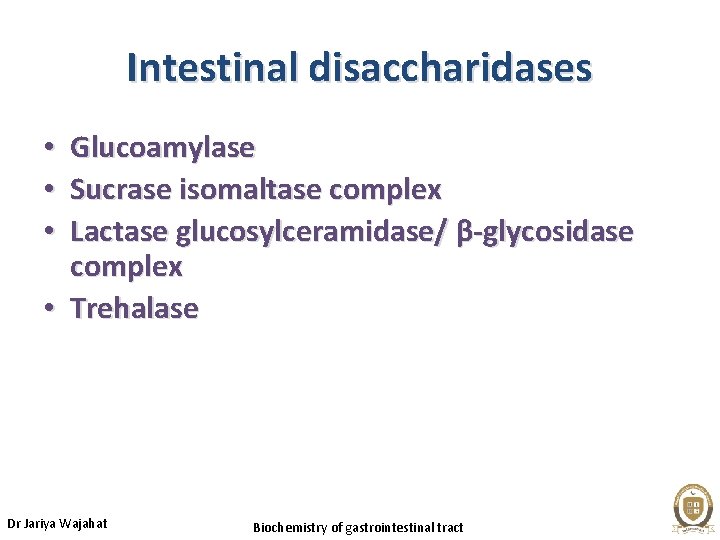 Intestinal disaccharidases Glucoamylase Sucrase isomaltase complex Lactase glucosylceramidase/ β-glycosidase complex • Trehalase • •