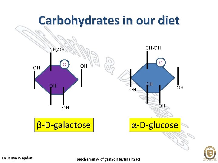 Carbohydrates in our diet CH₂OH OH OH OH β-D-galactose Dr Jariya Wajahat OH α-D-glucose