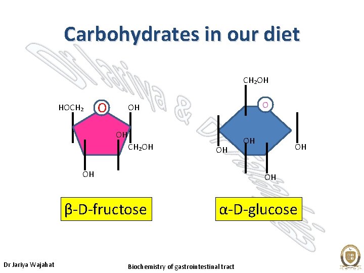 Carbohydrates in our diet CH₂OH HOCH₂ O O OH OH CH₂OH OH OH β-D-fructose