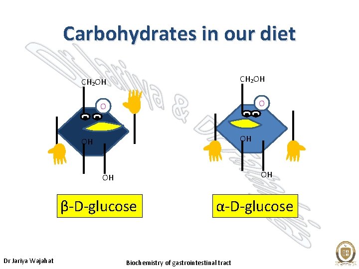 Carbohydrates in our diet CH₂OH O O OH OH β-D-glucose Dr Jariya Wajahat α-D-glucose