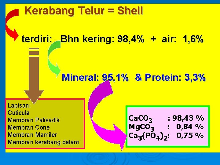 Kerabang Telur = Shell terdiri: Bhn kering: 98, 4% + air: 1, 6% Mineral: