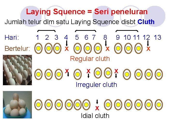 Laying Squence = Seri peneluran Jumlah telur dlm satu Laying Squence disbt Cluth Hari: