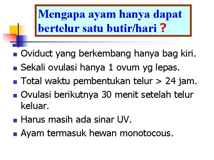 Mengapa ayam hanya dapat bertelur satu butir/hari ? n n n Oviduct yang berkembang