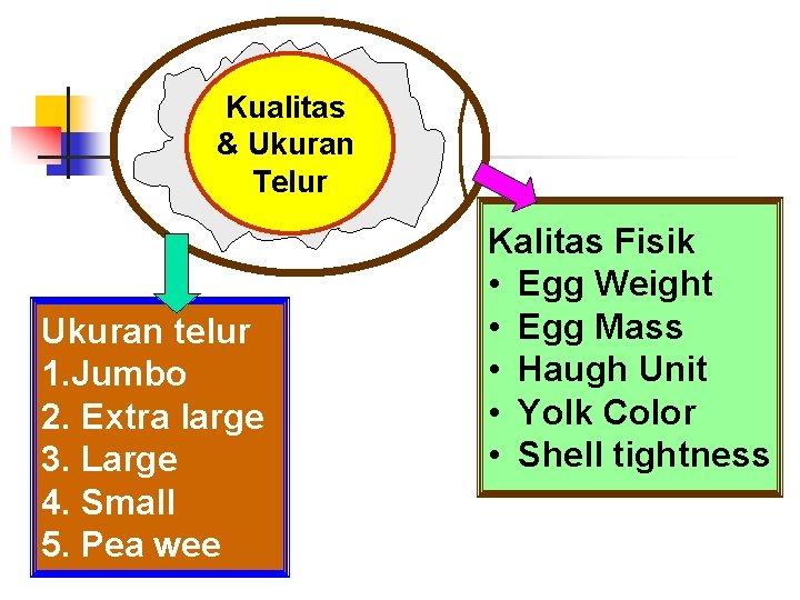 Kualitas & Ukuran Telur Ukuran telur 1. Jumbo 2. Extra large 3. Large 4.