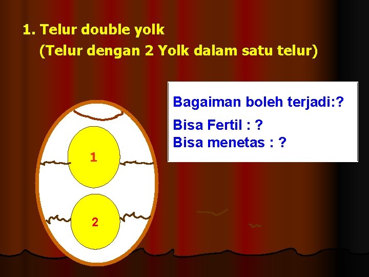 1. Telur double yolk (Telur dengan 2 Yolk dalam satu telur) Bagaiman boleh terjadi: