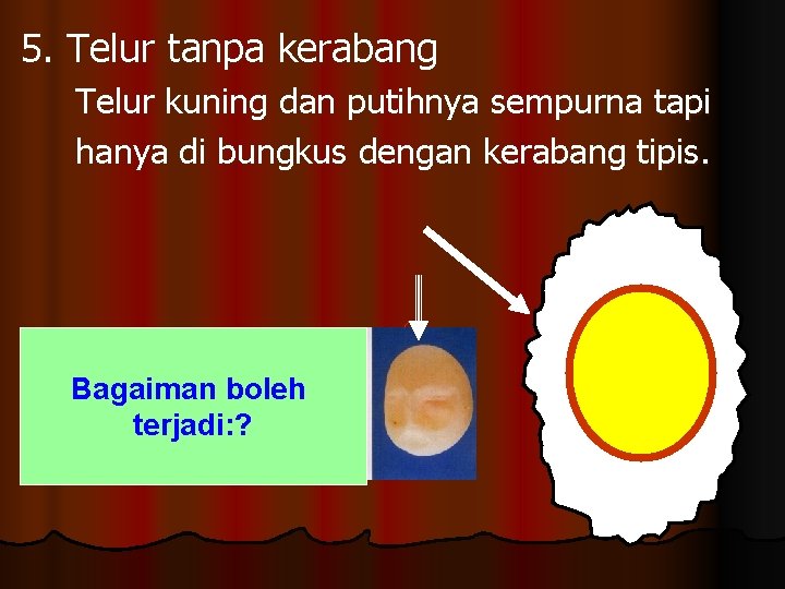 5. Telur tanpa kerabang Telur kuning dan putihnya sempurna tapi hanya di bungkus dengan