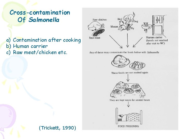 Cross-contamination Of Salmonella a) Contamination after cooking b) Human carrier c) Raw meat/chicken etc.