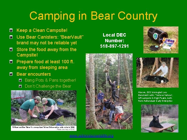 Camping in Bear Country Keep a Clean Campsite! Use Bear Canisters: “Bear. Vault” brand