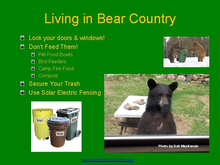 Living in Bear Country Lock your doors & windows! Don’t Feed Them! Pet Food