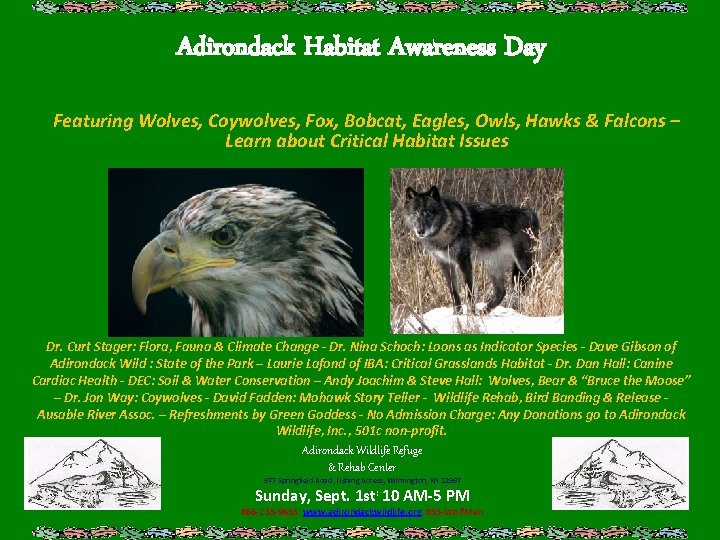 Adirondack Habitat Awareness Day Featuring Wolves, Coywolves, Fox, Bobcat, Eagles, Owls, Hawks & Falcons