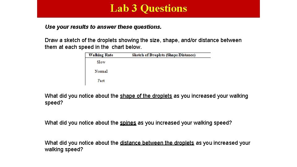 Lab 3 Questions Use your results to answer these questions. Draw a sketch of