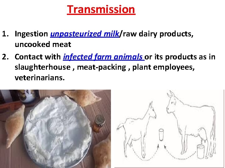 Transmission 1. Ingestion unpasteurized milk/raw dairy products, uncooked meat 2. Contact with infected farm