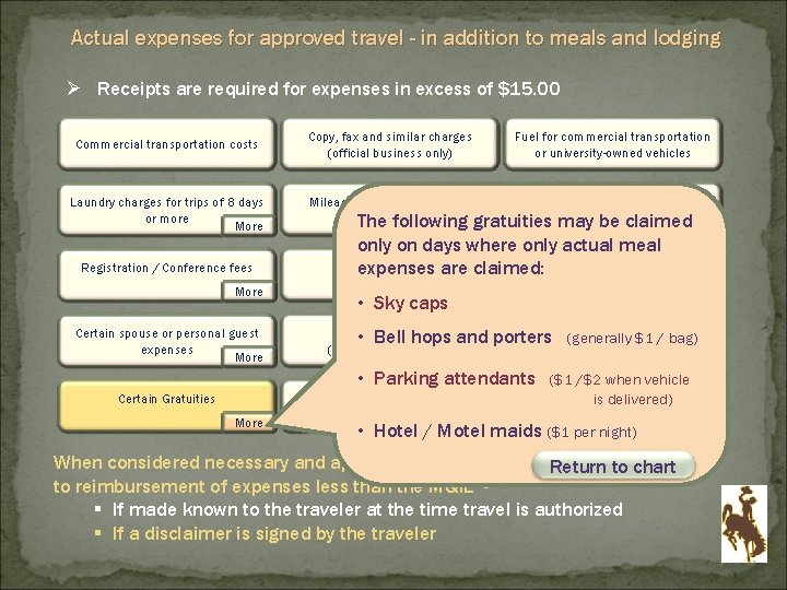 Actual expenses for approved travel - in addition to meals and lodging Ø Receipts