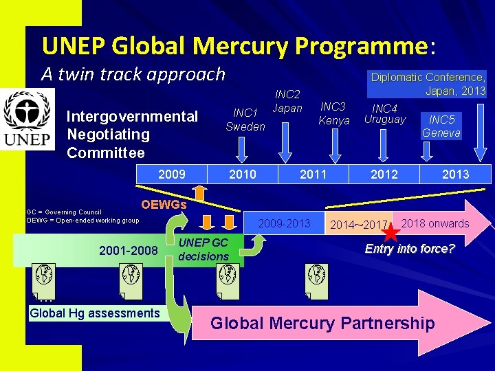 UNEP Global Mercury Programme: A twin track approach Intergovernmental Negotiating Committee INC 1 Sweden