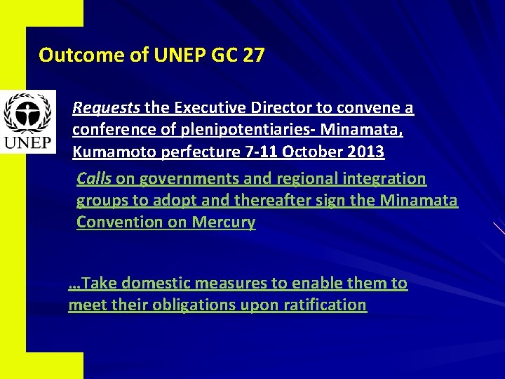 Outcome of UNEP GC 27 Requests the Executive Director to convene a conference of