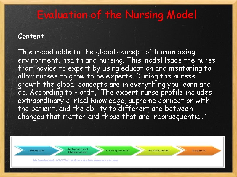 Evaluation of the Nursing Model Content This model adds to the global concept of