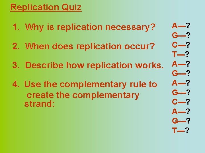 Replication Quiz A---? G---? C---? 2. When does replication occur? T---? 3. Describe how