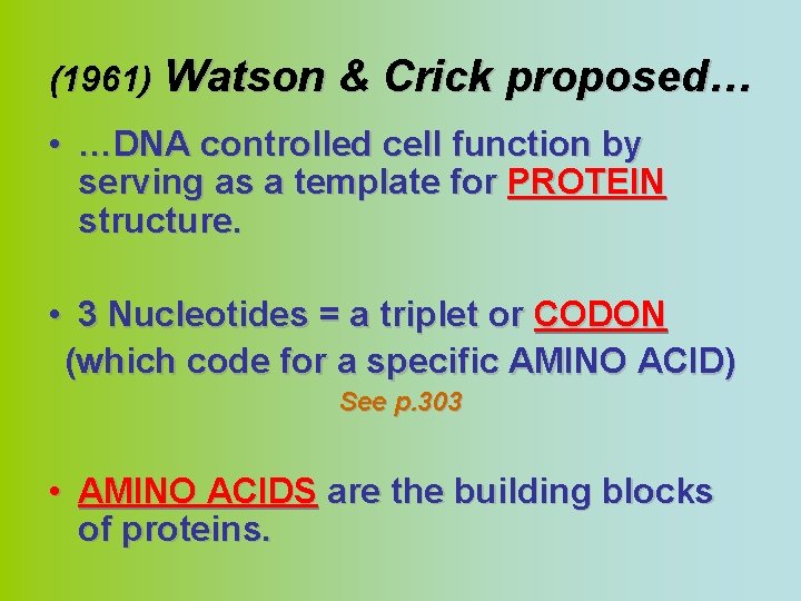 (1961) Watson & Crick proposed… • …DNA controlled cell function by serving as a