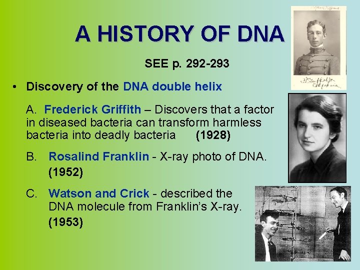 A HISTORY OF DNA SEE p. 292 -293 • Discovery of the DNA double
