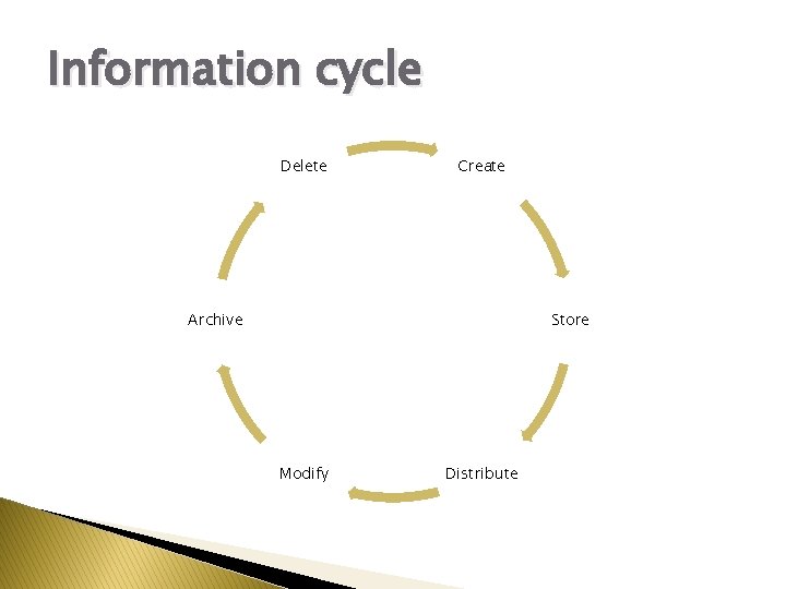 Information cycle Delete Create Archive Store Modify Distribute 