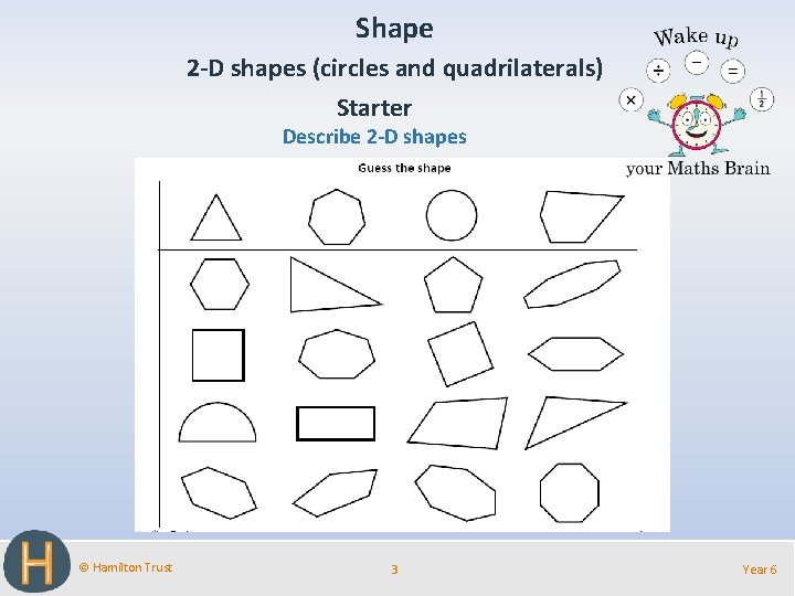 Shape 2 -D shapes (circles and quadrilaterals) Starter Describe 2 -D shapes © Hamilton