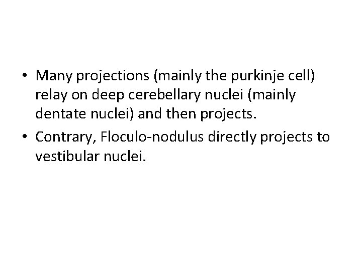  • Many projections (mainly the purkinje cell) relay on deep cerebellary nuclei (mainly