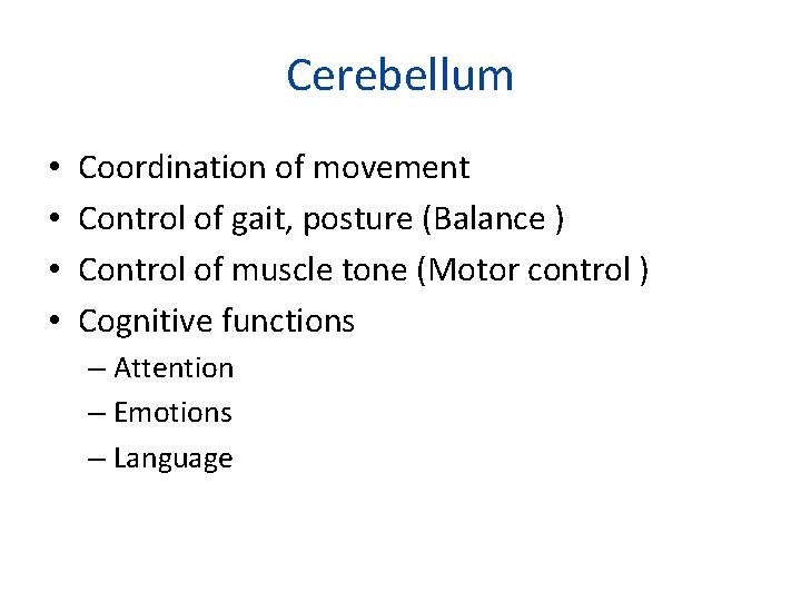 Cerebellum • • Coordination of movement Control of gait, posture (Balance ) Control of