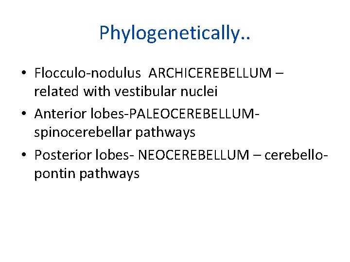 Phylogenetically. . • Flocculo-nodulus ARCHICEREBELLUM – related with vestibular nuclei • Anterior lobes-PALEOCEREBELLUMspinocerebellar pathways