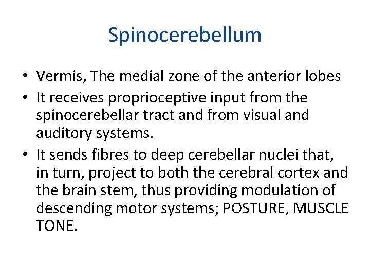Spinocerebellum • Vermis, The medial zone of the anterior lobes • It receives proprioceptive