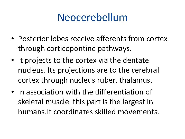 Neocerebellum • Posterior lobes receive afferents from cortex through corticopontine pathways. • It projects