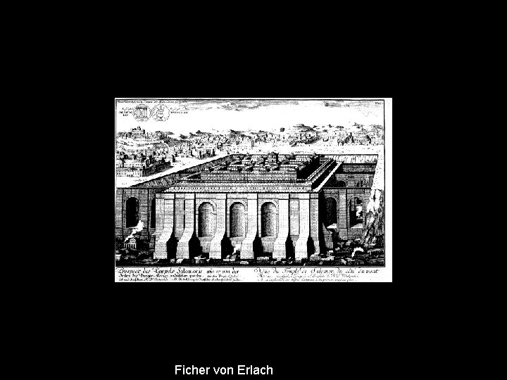 Ficher von Erlach 