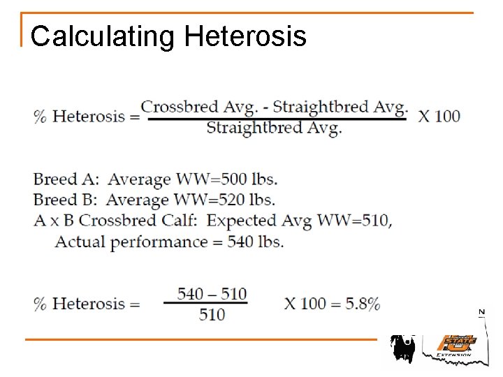 Calculating Heterosis 