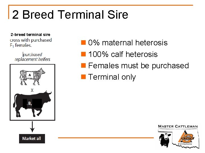 2 Breed Terminal Sire 2 -breed terminal sire A n 0% maternal heterosis n
