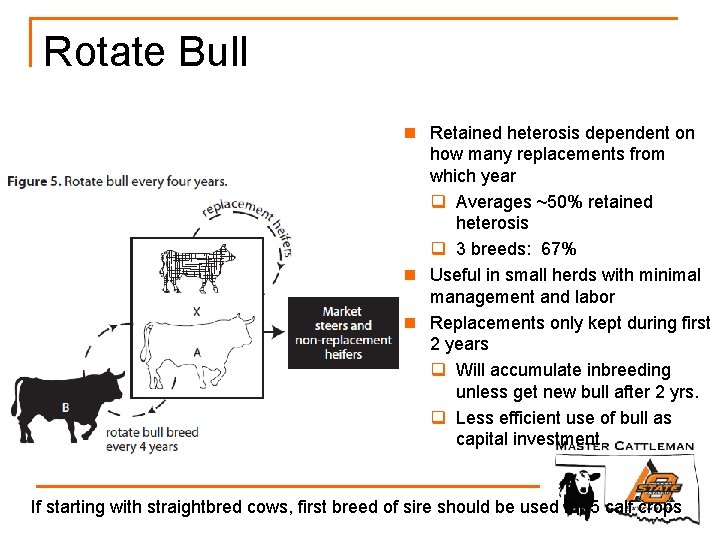 Rotate Bull n Retained heterosis dependent on how many replacements from which year q