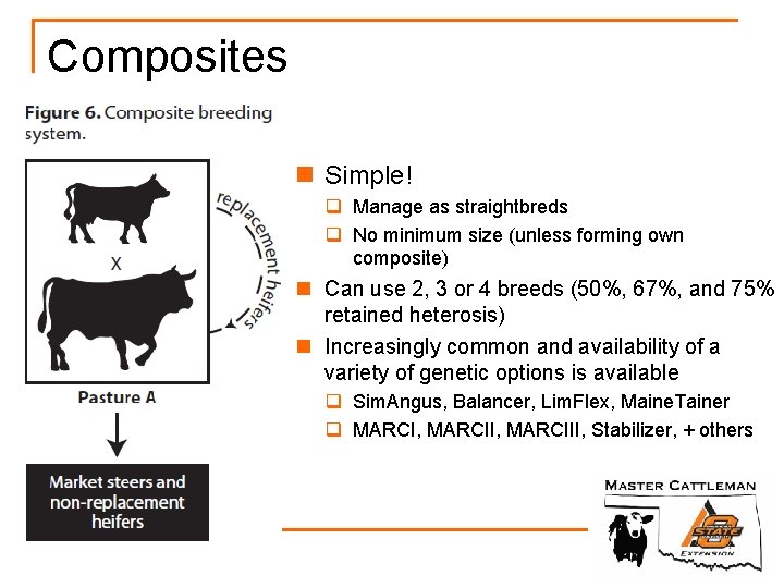 Composites n Simple! q Manage as straightbreds q No minimum size (unless forming own