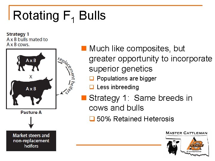 Rotating F 1 Bulls n Much like composites, but greater opportunity to incorporate superior