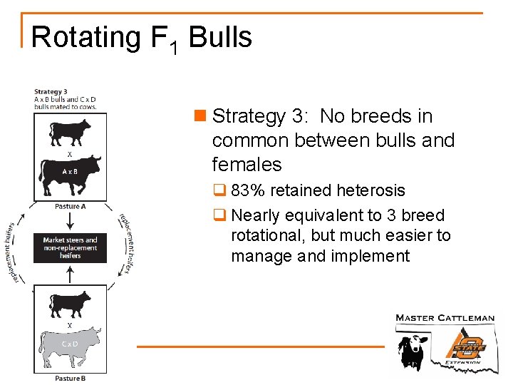 Rotating F 1 Bulls n Strategy 3: No breeds in common between bulls and