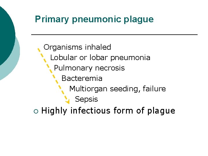 Primary pneumonic plague Organisms inhaled Lobular or lobar pneumonia Pulmonary necrosis Bacteremia Multiorgan seeding,