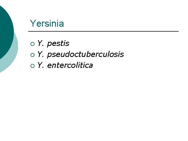 Yersinia Y. pestis ¡ Y. pseudoctuberculosis ¡ Y. entercolitica ¡ 