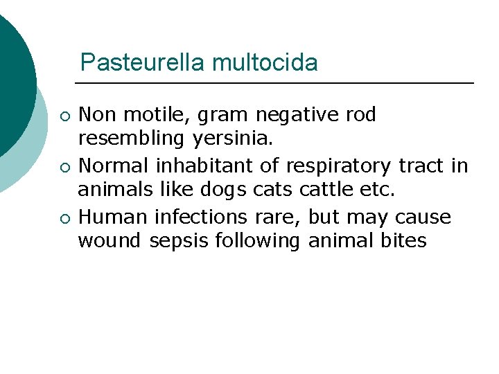 Pasteurella multocida ¡ ¡ ¡ Non motile, gram negative rod resembling yersinia. Normal inhabitant