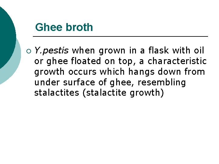 Ghee broth ¡ Y. pestis when grown in a flask with oil or ghee