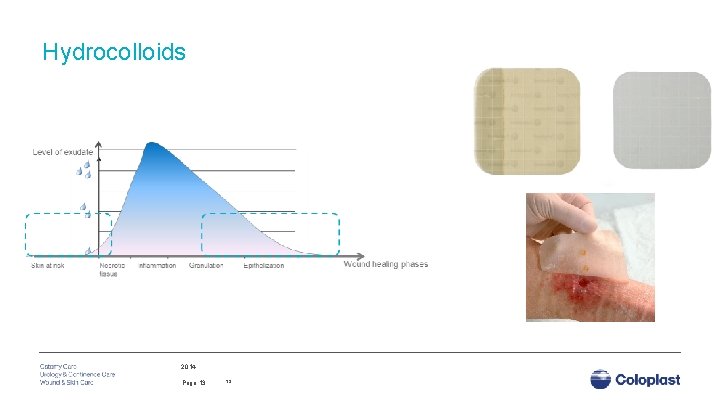 Hydrocolloids 2014 Page 13 13 