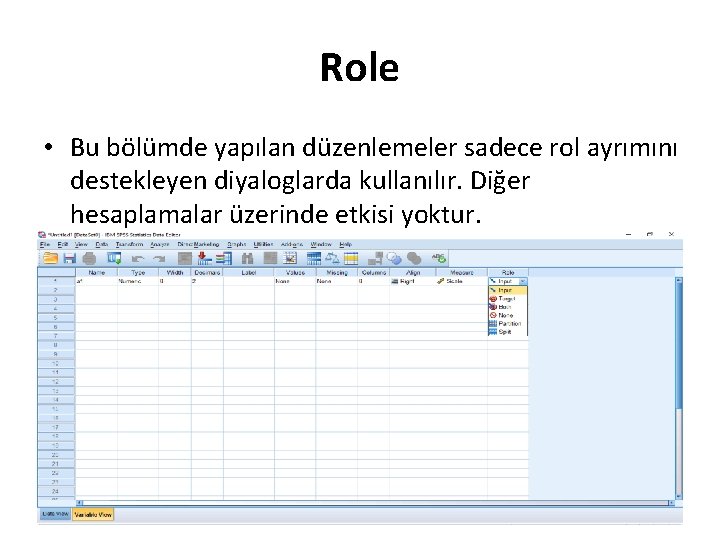 Role • Bu bölümde yapılan düzenlemeler sadece rol ayrımını destekleyen diyaloglarda kullanılır. Diğer hesaplamalar