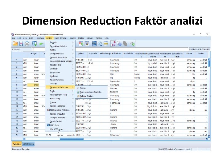 Dimension Reduction Faktör analizi 