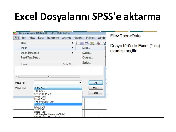 Excel Dosyalarını SPSS’e aktarma 