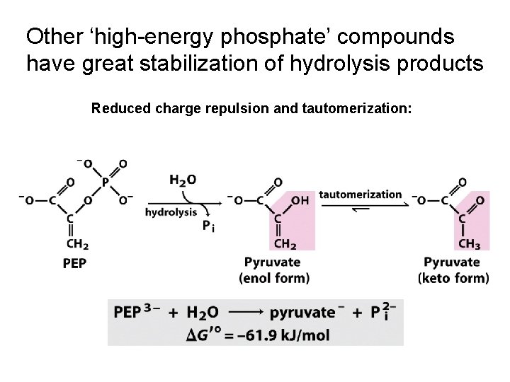 Other ‘high-energy phosphate’ compounds have great stabilization of hydrolysis products Reduced charge repulsion and