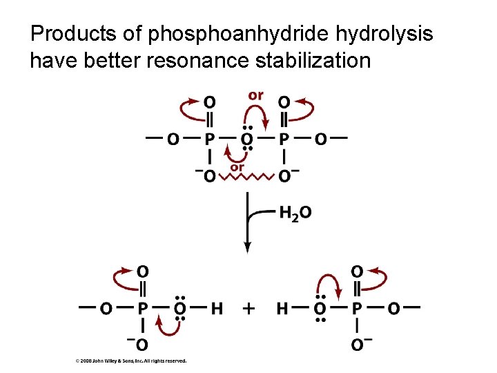 Products of phosphoanhydride hydrolysis have better resonance stabilization 