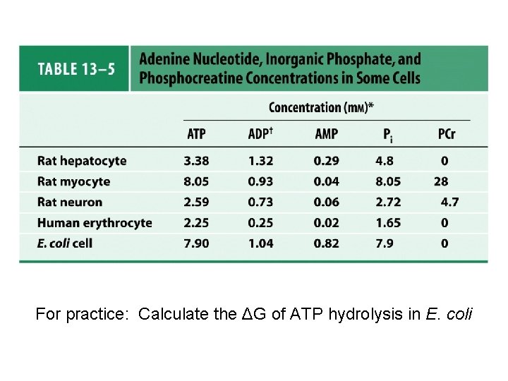 For practice: Calculate the ΔG of ATP hydrolysis in E. coli 
