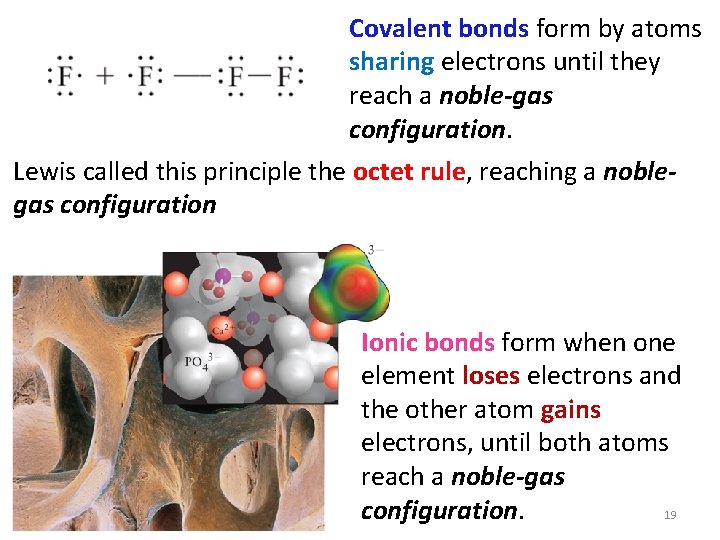 Covalent bonds form by atoms sharing electrons until they reach a noble-gas configuration. Lewis